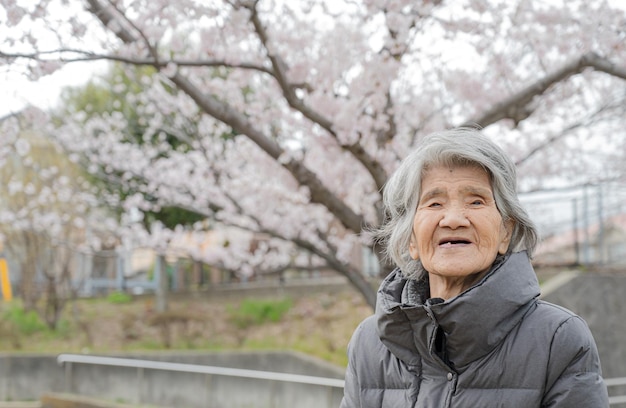 90세 이상의 일본 여성과 벚꽃