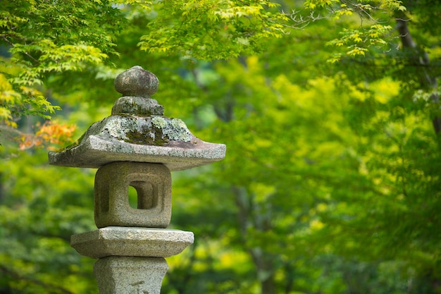 Japanese zen stone lantern with green foilage