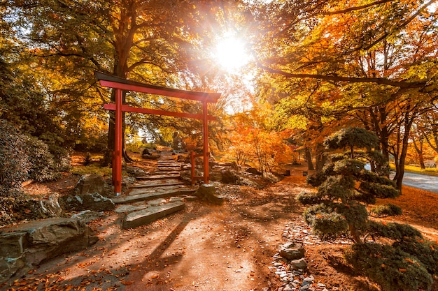 Foto japanischer garten in het egapark