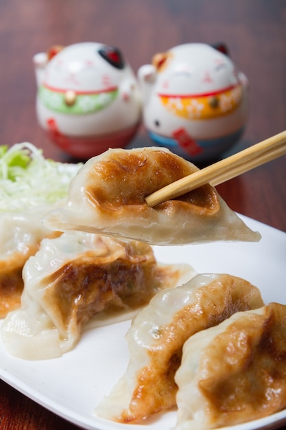 Japans eten. Gyoza. Vlees en groenten worden in bloem gewikkeld en vervolgens gebakken of gestoomd.