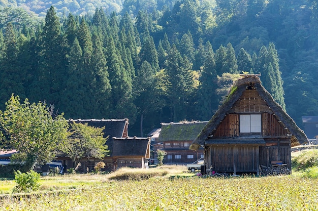 Japans traditioneel dorp