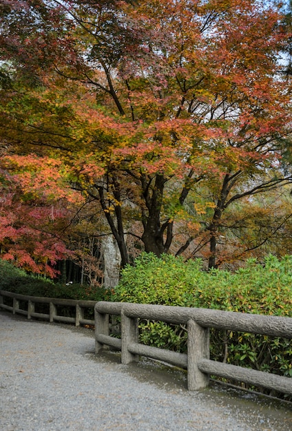 Japanse de herfsttuin in Tenryuji-tempel tijdens de herfstseizoen in Kyoto, Japan