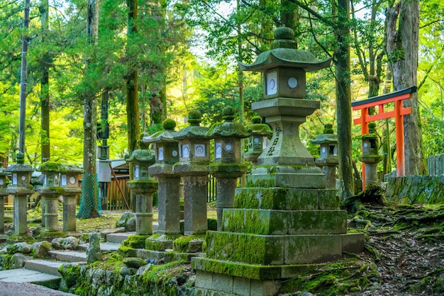 Japanse lantaarns bij Kasuga-taisha Shrine in Nara Japan