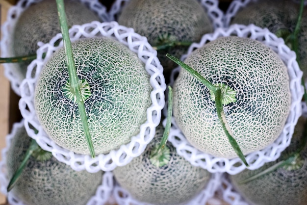 Japanse meloen klaar voor verkoop in supermarkt