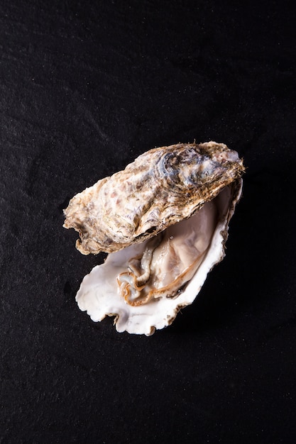 Japanse oester, kaki