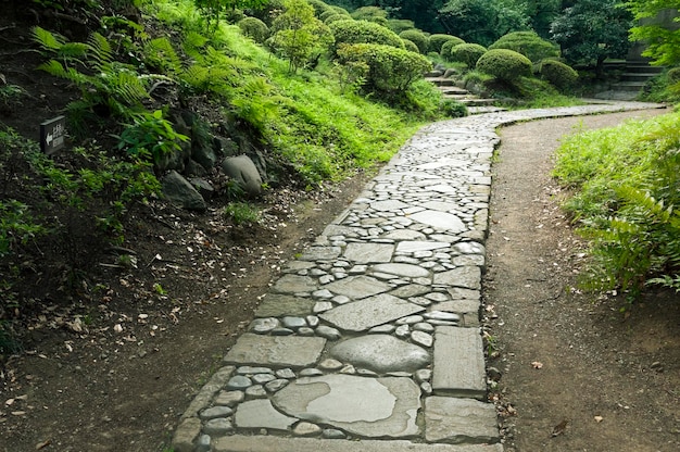 Japanse siersteenweg in groen zomerpark