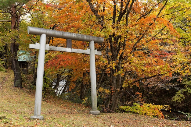 Japanse tempel in de herfst