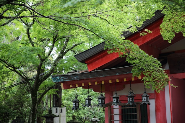 Japanse tempel in de stad Nara