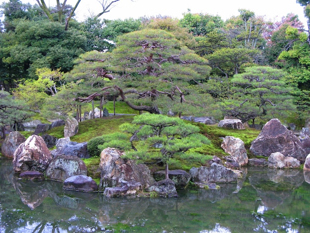 Japanse traditionele tuin in kyoto met bomenstenen en vijver