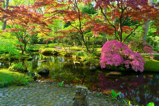 Japanse tuin in Den Haag