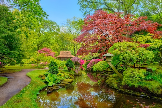 Japanse tuin Park Clingendael Den Haag Nederland