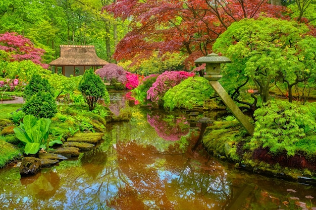 Japanse tuin Park Clingendael Den Haag Nederland
