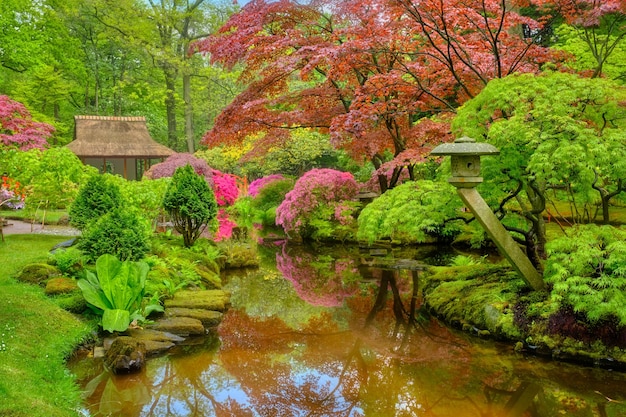 Japanse tuin Park Clingendael Den Haag Nederland