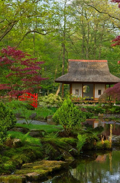 Japanse tuin typisch uitzicht, Den Haag, Holland