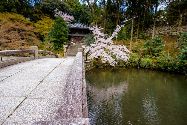 Foto japanse tuin