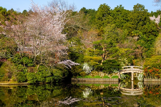 Japanse tuin