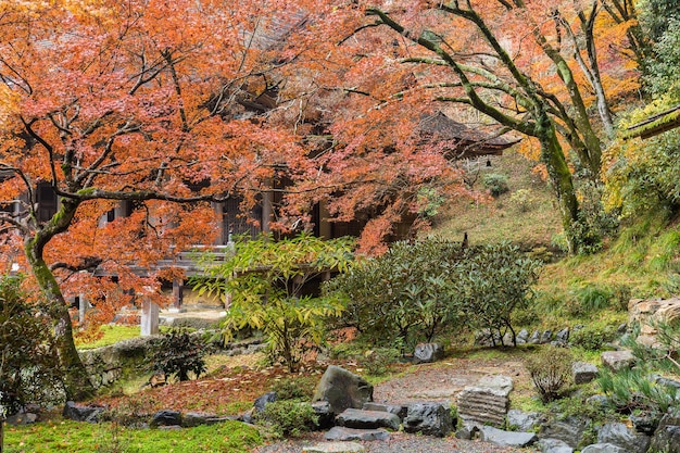 Japanse tuin