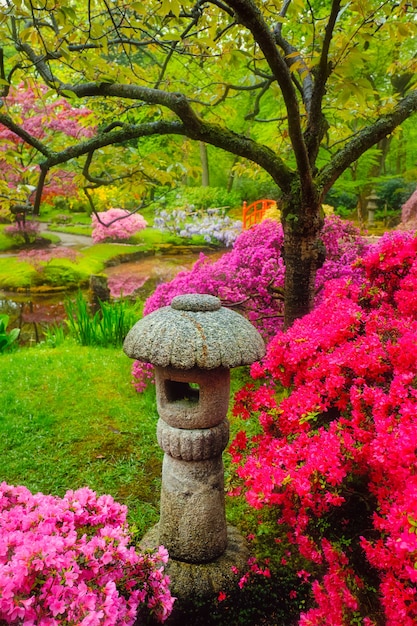 Japanse Tuinpark Clingendael Den Haag Nederland