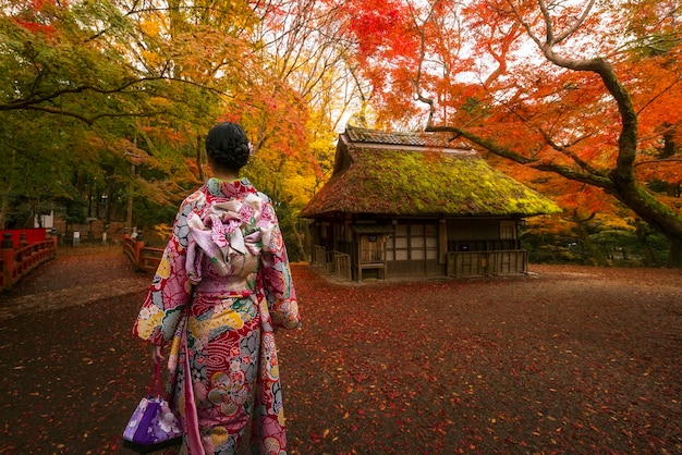 Japanse vrouw die met traditionele kimonokleding loopt in Nara-park, Japan