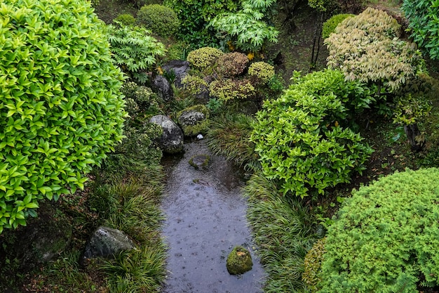 Japanse weelderige groene tuin met decoratieve steen