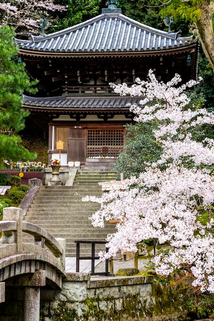 Japansese pagoda