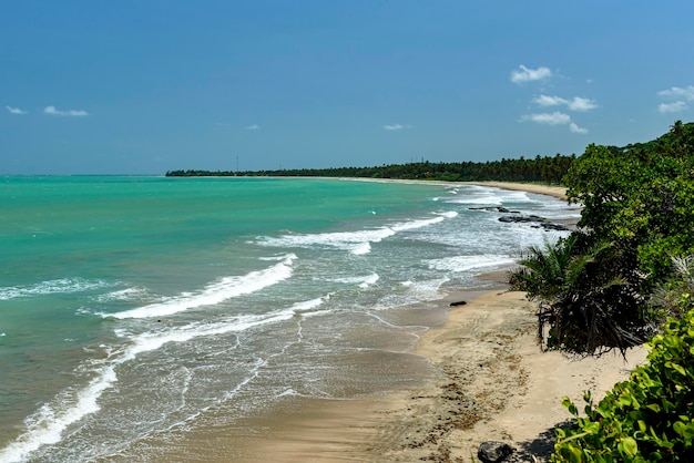 Japaratinga Beach Alagoas Brazil on February 10 2022 Northeast Brazil