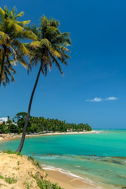 Japaratinga Beach Alagoas Brazilië op 10 februari 2022 Noordoost-Brazilië