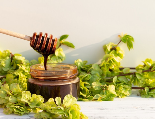 A jar of chocolate honey with spoon on white background with green branches