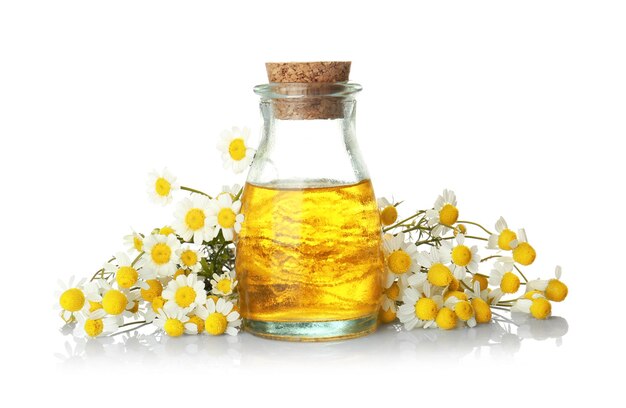 Jar of essential oil and chamomile flowers on white background