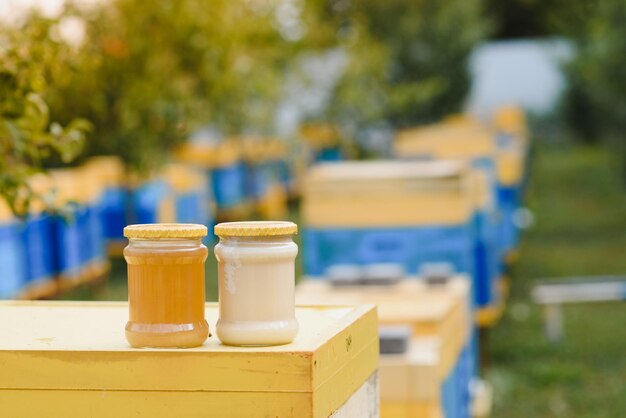 Jar of fresh honey in a glass jar Beekeeping concept Top view Copy space