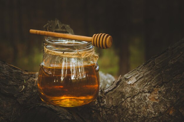 Jar of fresh honey and honey spoon on pine tree in woodsHealthy food