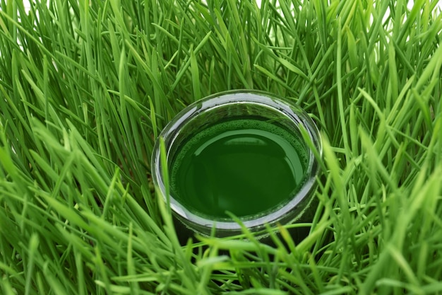 Jar of healthy juice in sprouted wheat grass