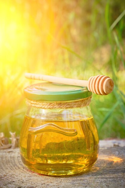 Jar honey and spoon for honey in forest on stump