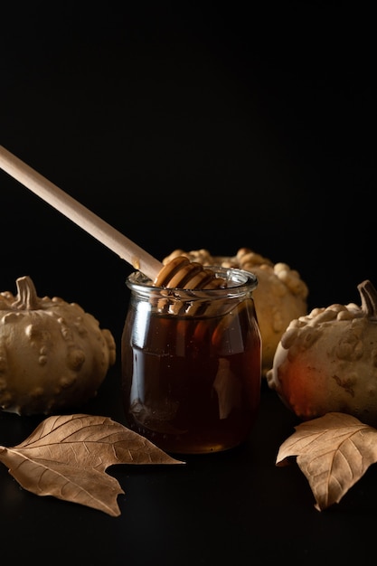 Jar honey with dried leaves and pumpkin on the side isolated on a dark background
