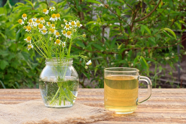 Jar with white chamomile flowers and glass cup of green tea on wooden boards with green natural background.