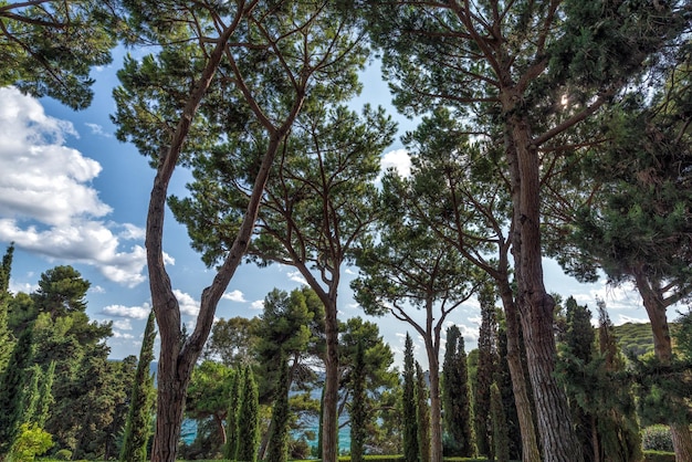 スペイン、カタルーニャ、コスタブラバのリョレトデマルにあるJardines de Santa Clotilde