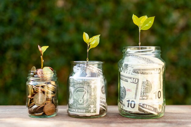 その上にお金と植物で満たされた瓶