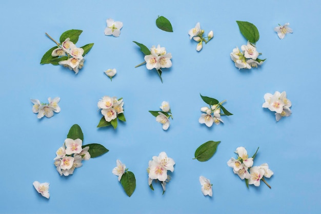 Jasmijn bloemen op een blauwe achtergrond Floral wenskaart