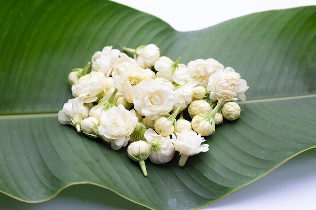 Jasmijnbloem op bananenblad