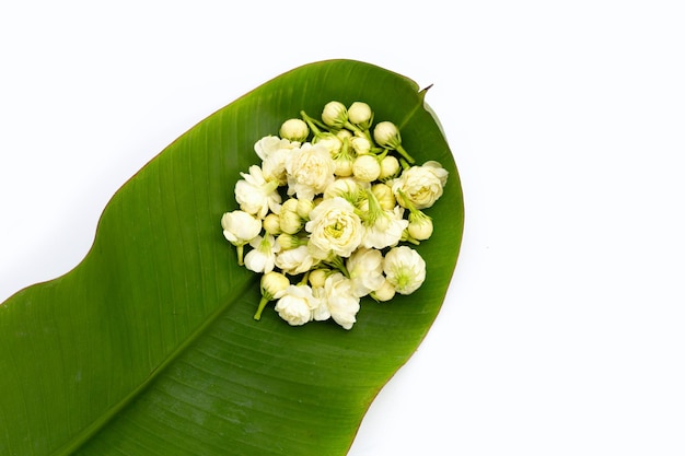 Jasmijnbloem op bananenblad