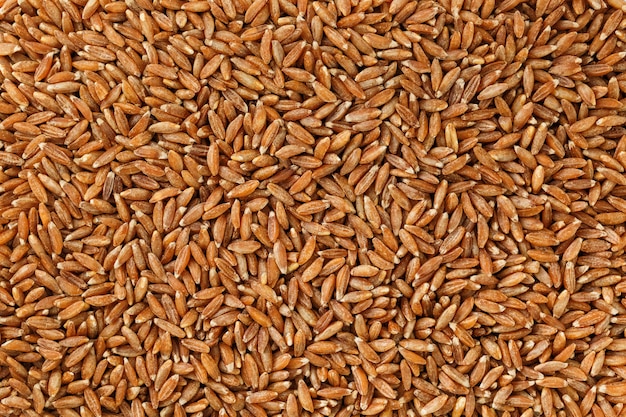 Jasmine brown rice closeup. Organic grain texture