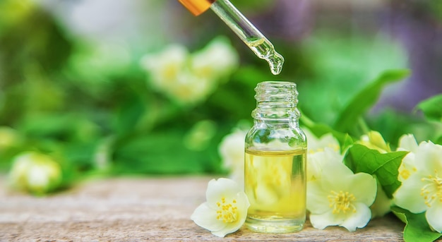 Jasmine essential oil in a small bottle. Selective focus. Nature.