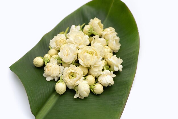 Photo jasmine flower on banana leaf