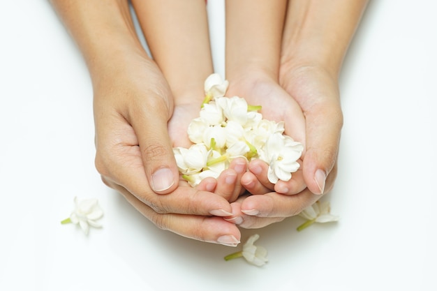 Photo jasmine flower, thai people present jasmine flower to mother on thai mother's day.