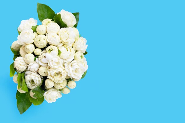 Jasmine flower on white background