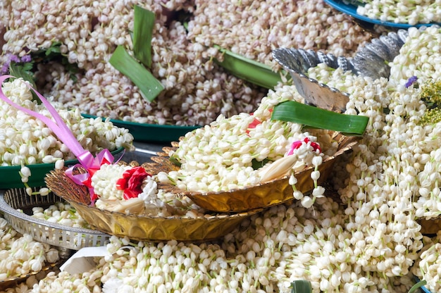 Foto fiore di gelsomino con adorazione