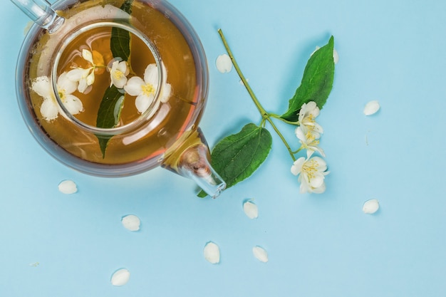 Jasmine flowers brewed in a teapot on a blue background. An invigorating drink that is good for your health.
