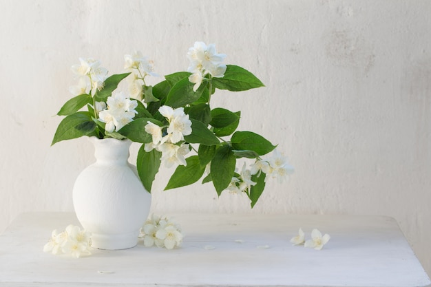 Jasmine flowers in ceramic vase on white background