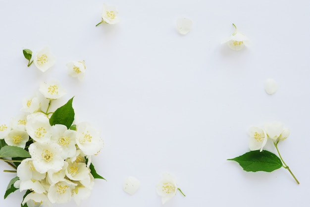 Foto cornice di fiori di gelsomino