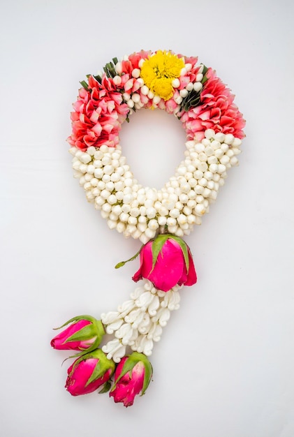 Jasmine garland on a white background